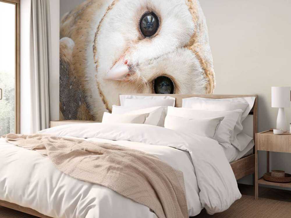 Ugle med hodet på skrå