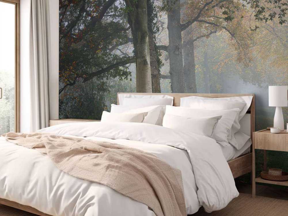 Lane med trær i tåken