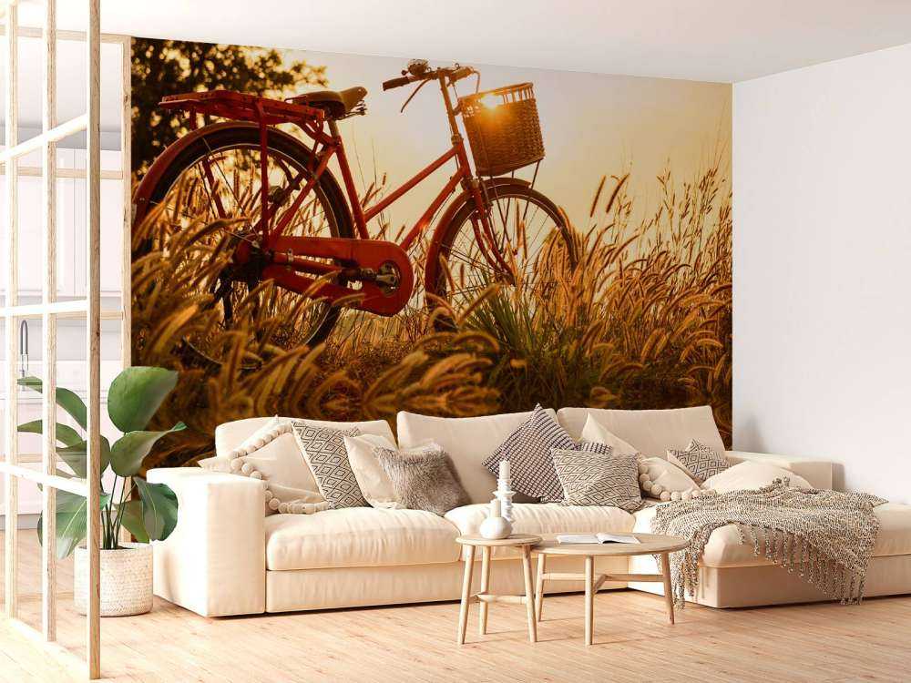 Sykkel ved solnedgang