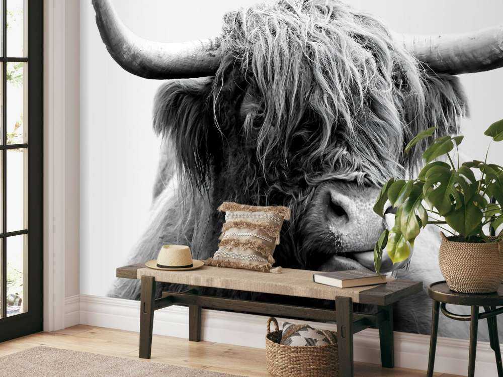 Morsomme skotske høyland