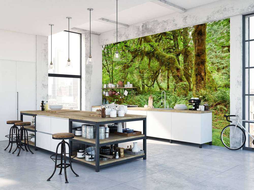 Bregner i en gammel skog