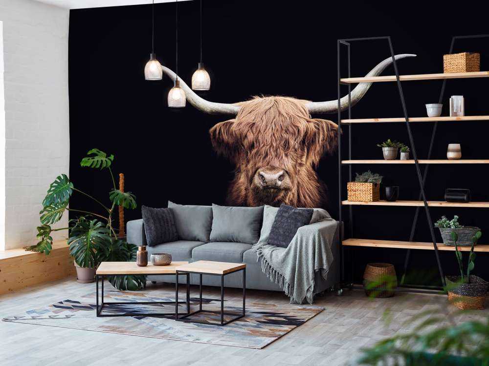 Vintage Scottish Highlands