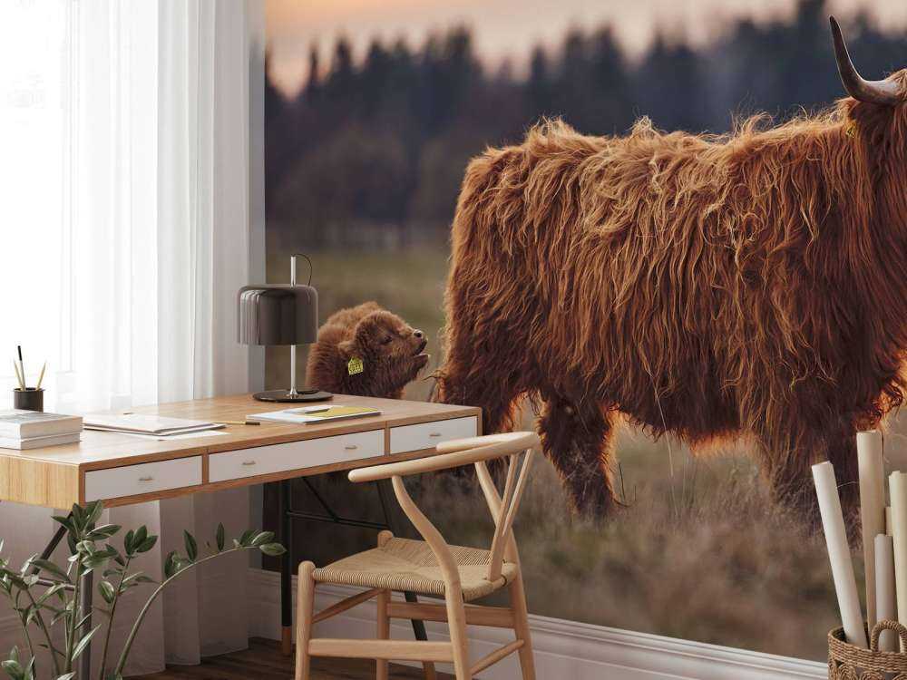 Det skotske høylandet på engen