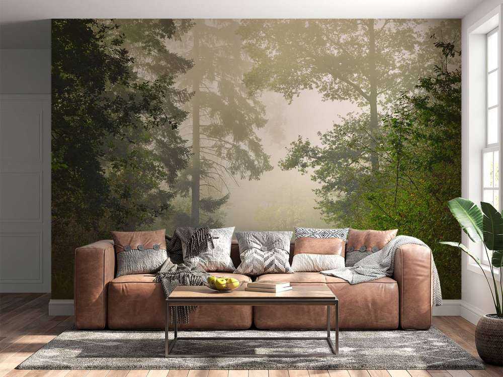 Veien gjennom tåkete skog