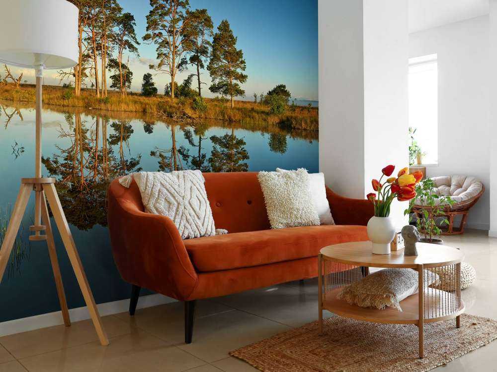 Refleksjon i skogsjøen