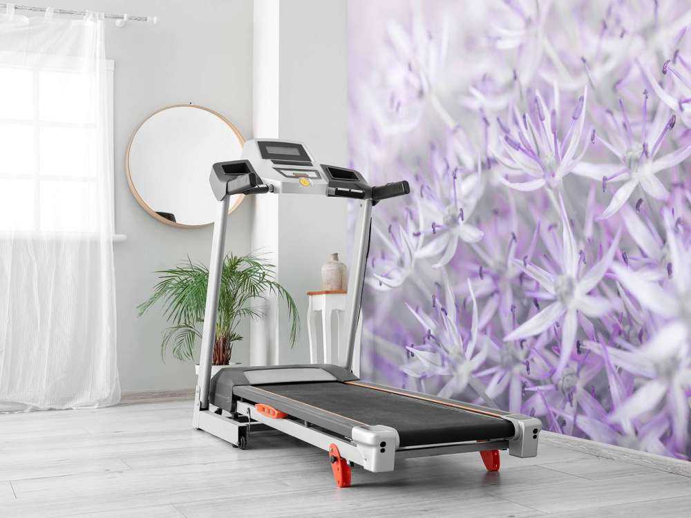 Allium blomster nærbilde