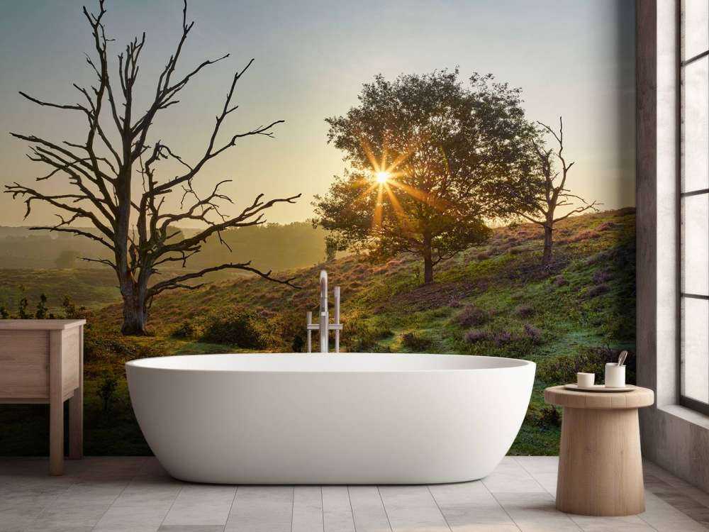 Oppgående sol på heia