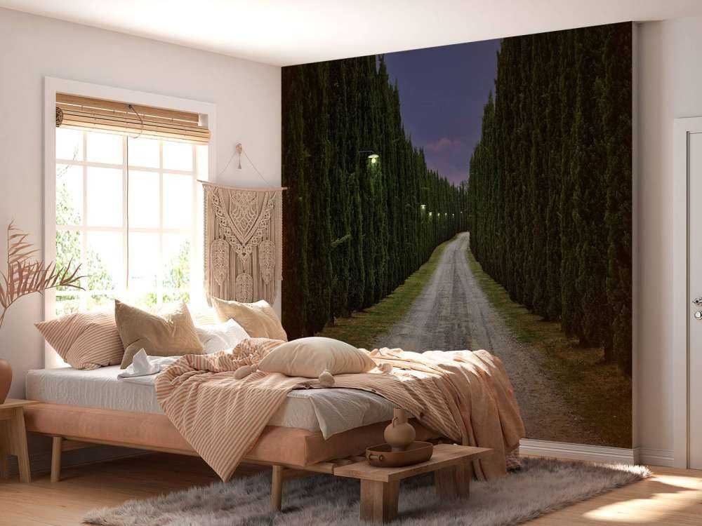 Cypress om kvelden