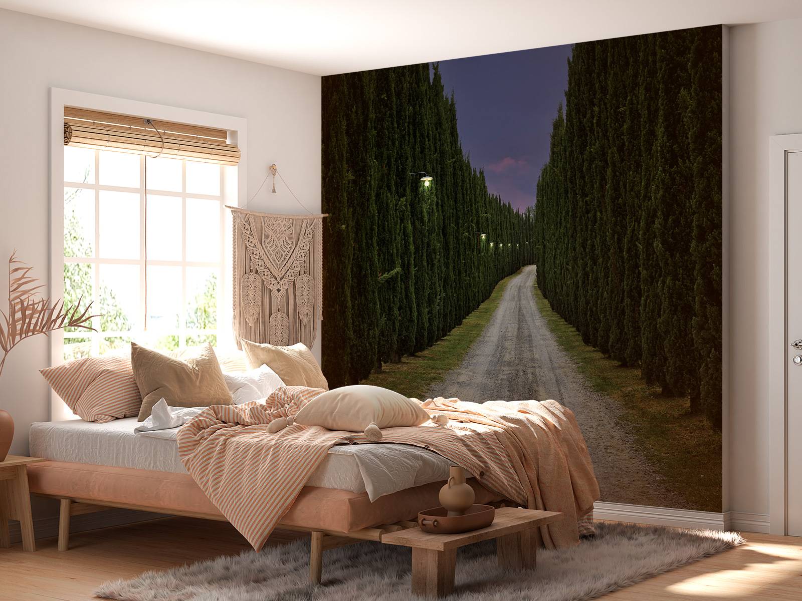 Cypress om kvelden