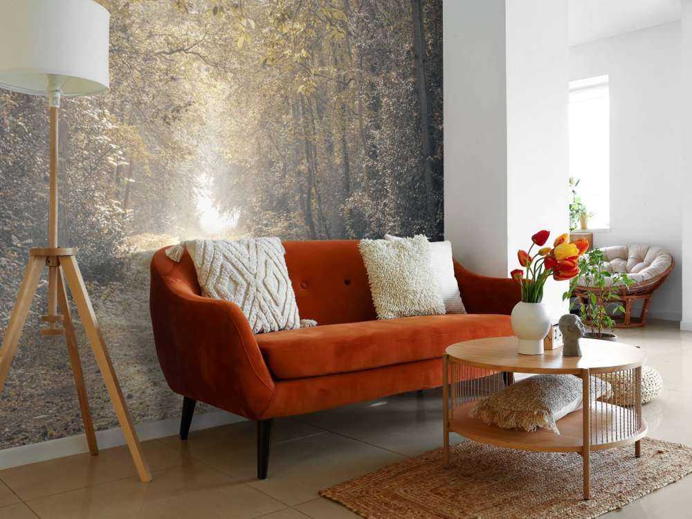 Sti gjennom en forlatt skog