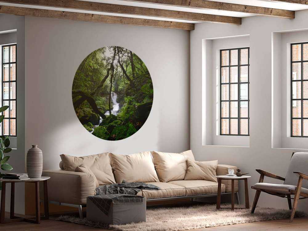 Foss omgitt av trær