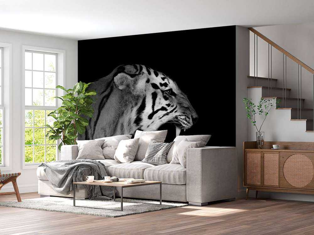 Vrålande tiger svart