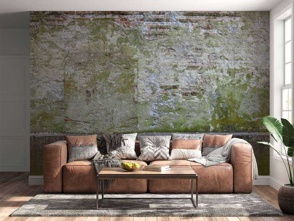 Mossa på gammal vägg