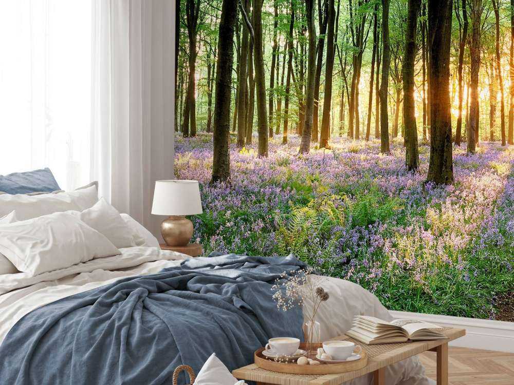 Skogsstig i soluppgång