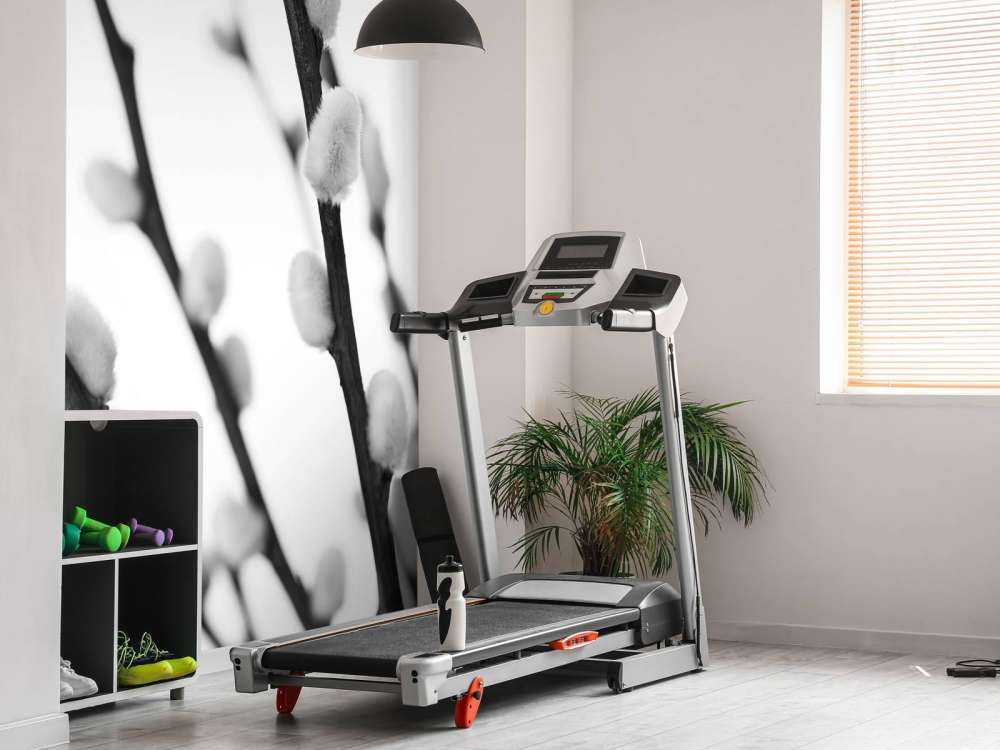 Skogspil i svart och vitt