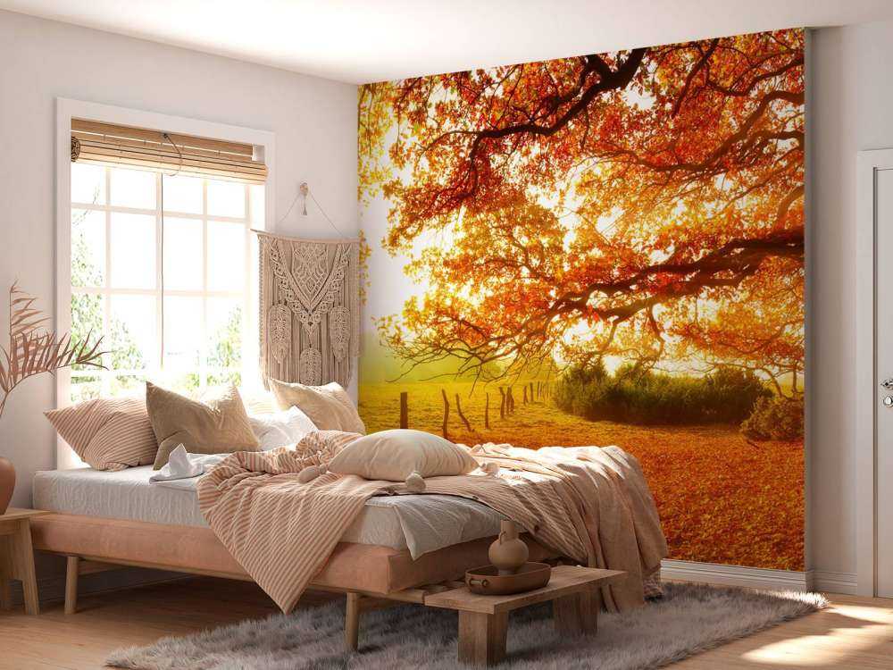 Höstlandskap med skog och äng