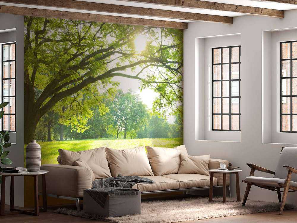 Härligt träd med grönt gräs