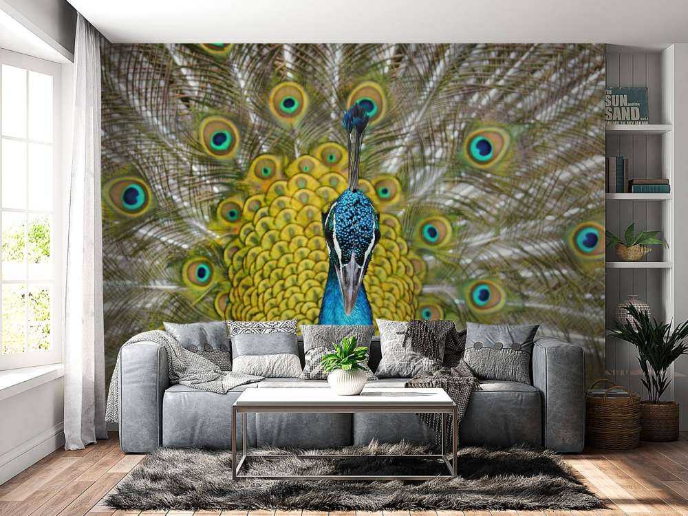 Framsida av en påfågel