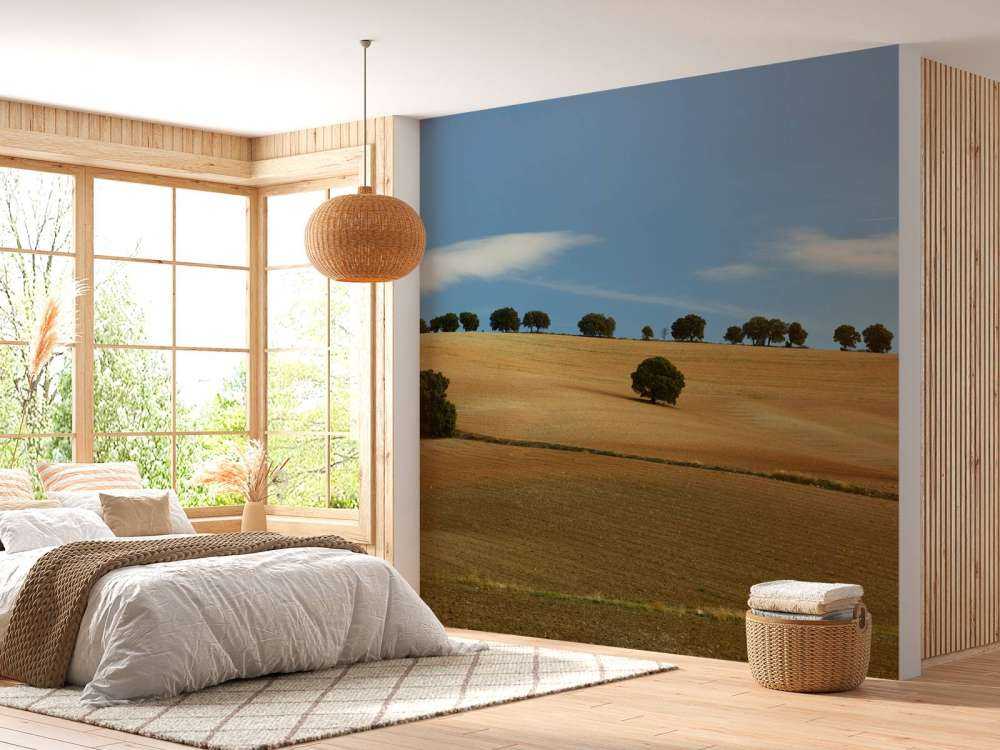 Träd i spanskt landskap