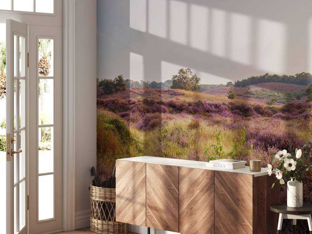 Hedmarker vid soluppgång