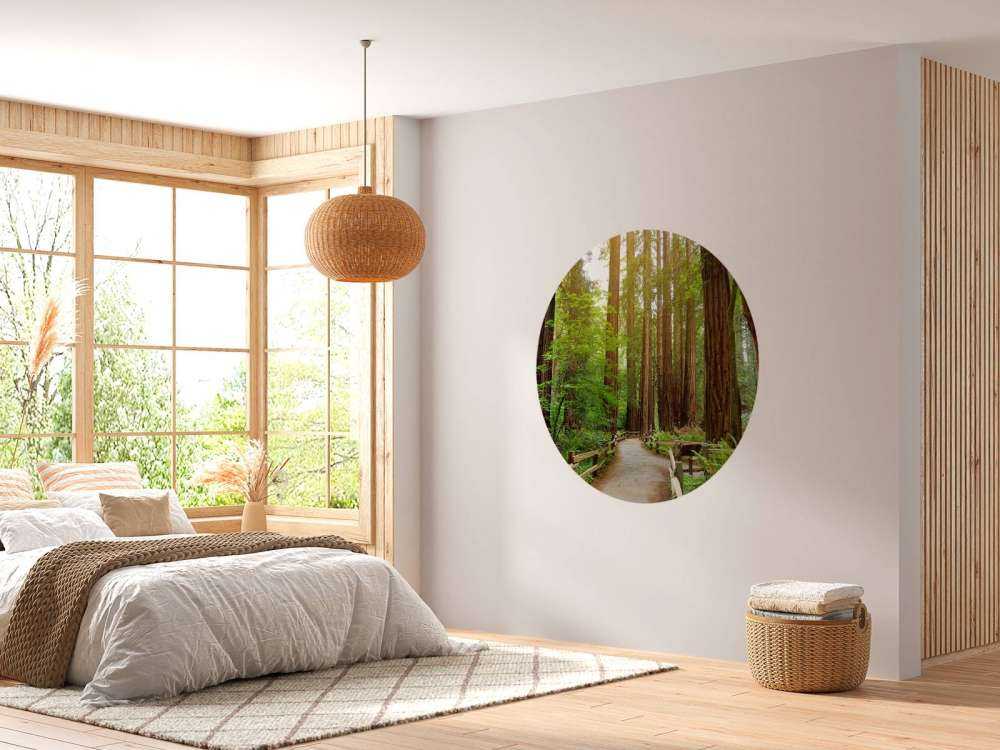 Höga träd parkerar in