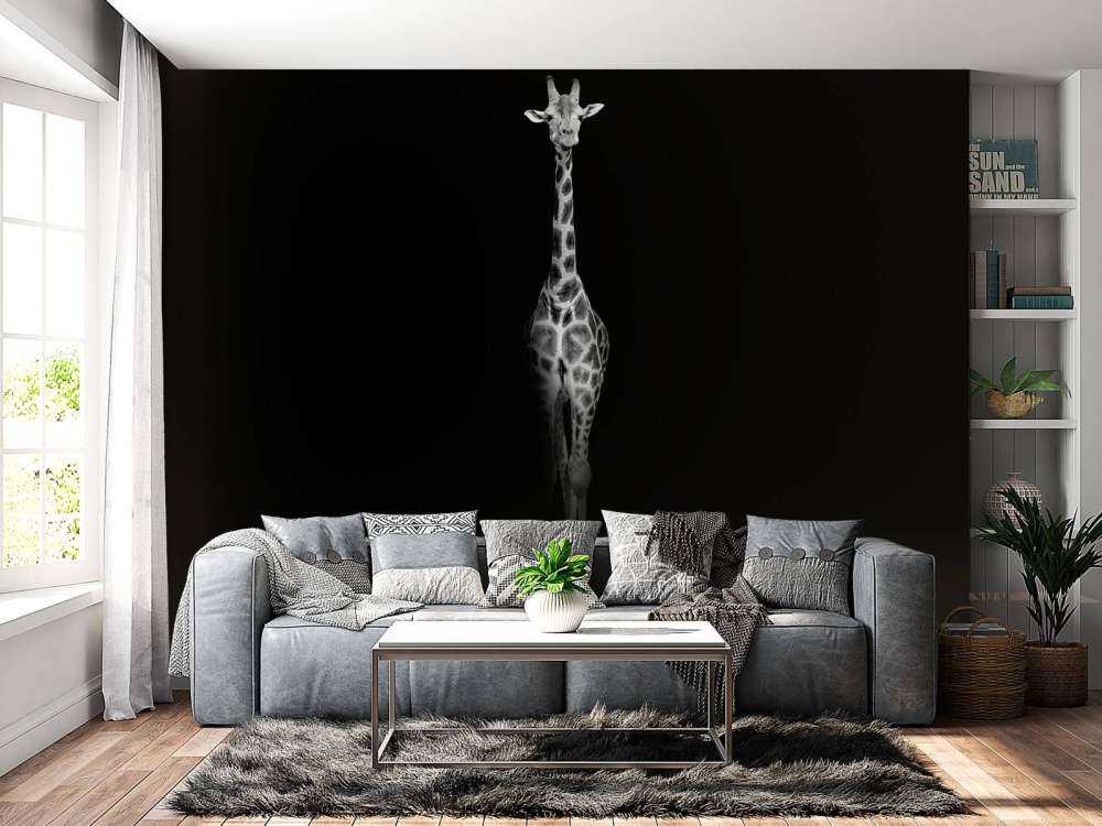 Giraff svartvitt
