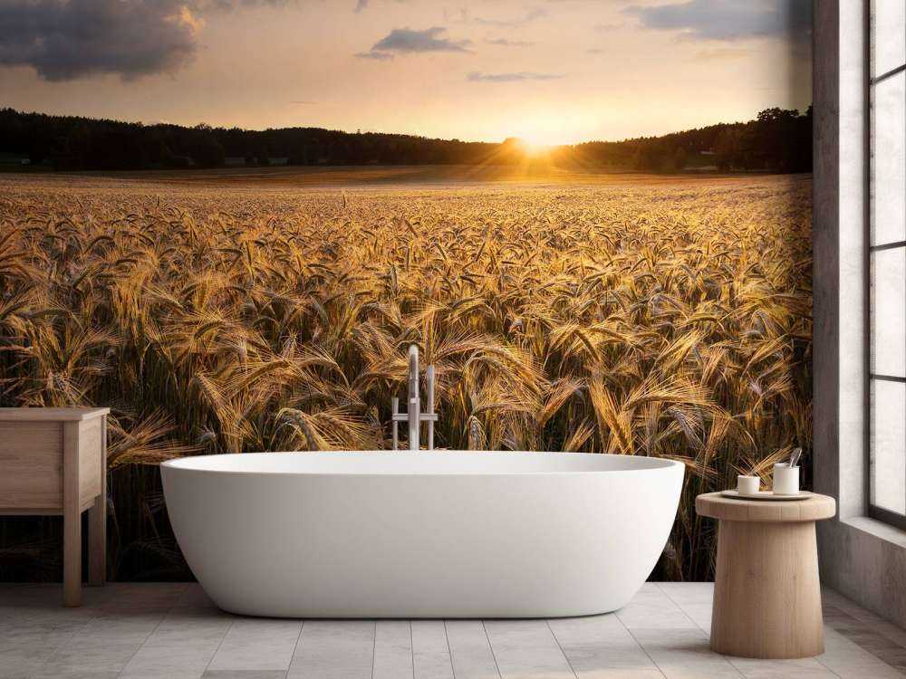 Fields of gold