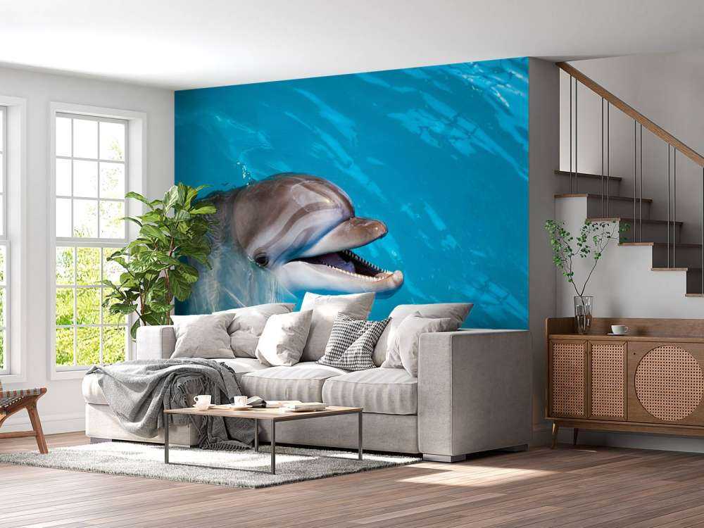 Vänlig delfin