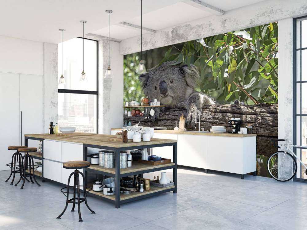 Söt koala