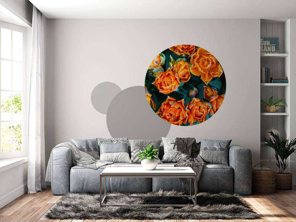 Nærbillede af orange tulipaner