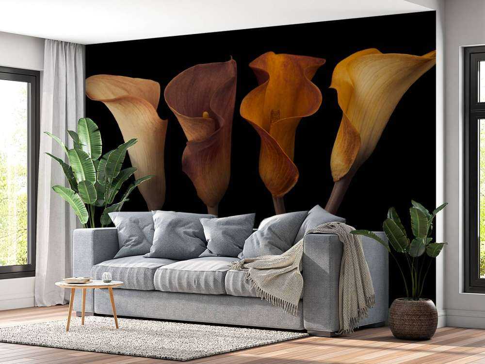 Calla liljer