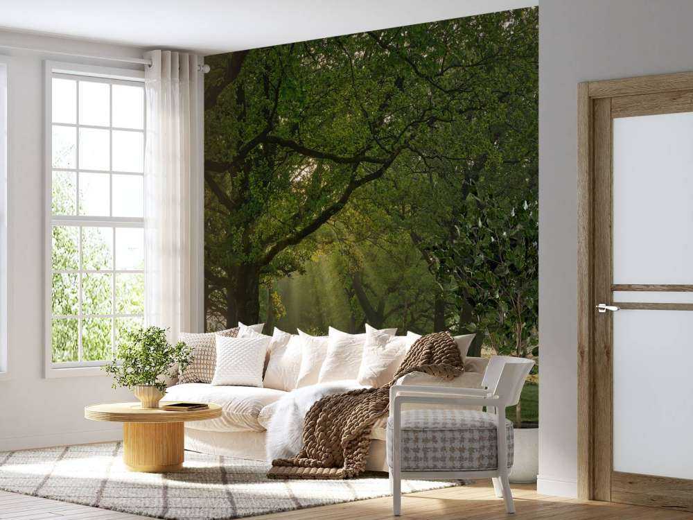 Sti mellem egetræer