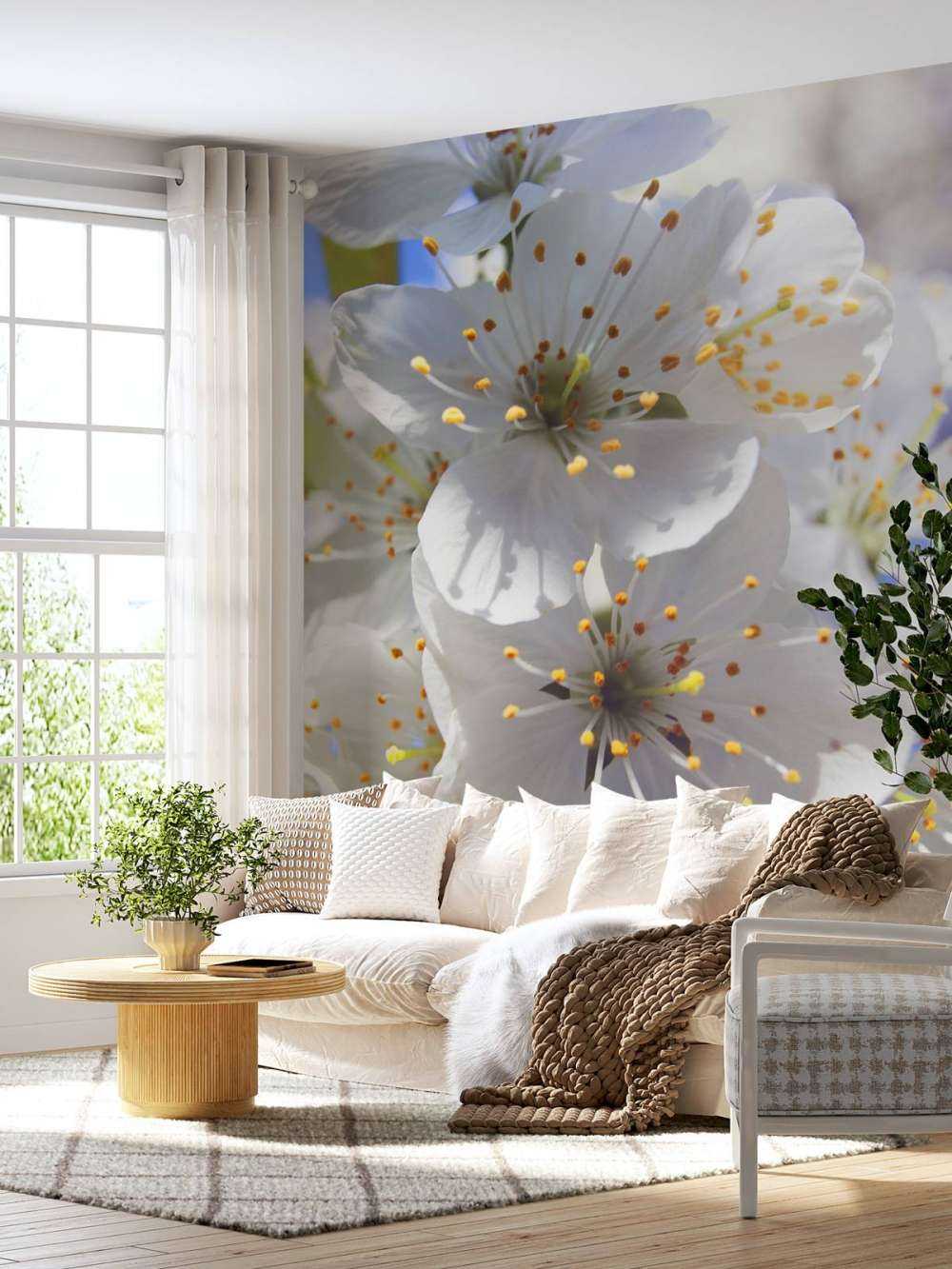 Nærbillede af hvide blomster