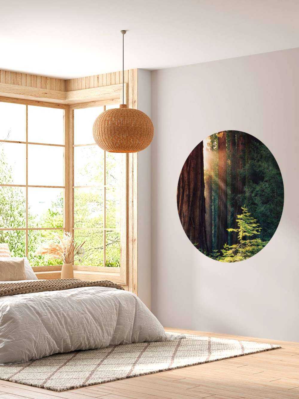 Sollys mellem mahogni-træerne