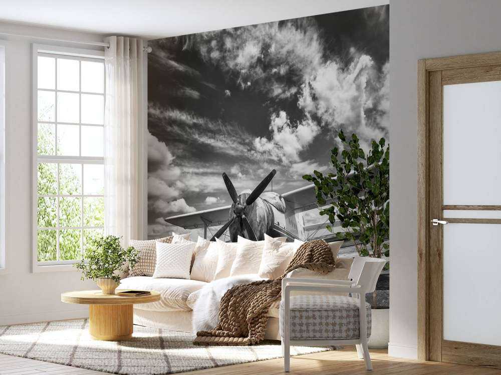 Klassisk fly