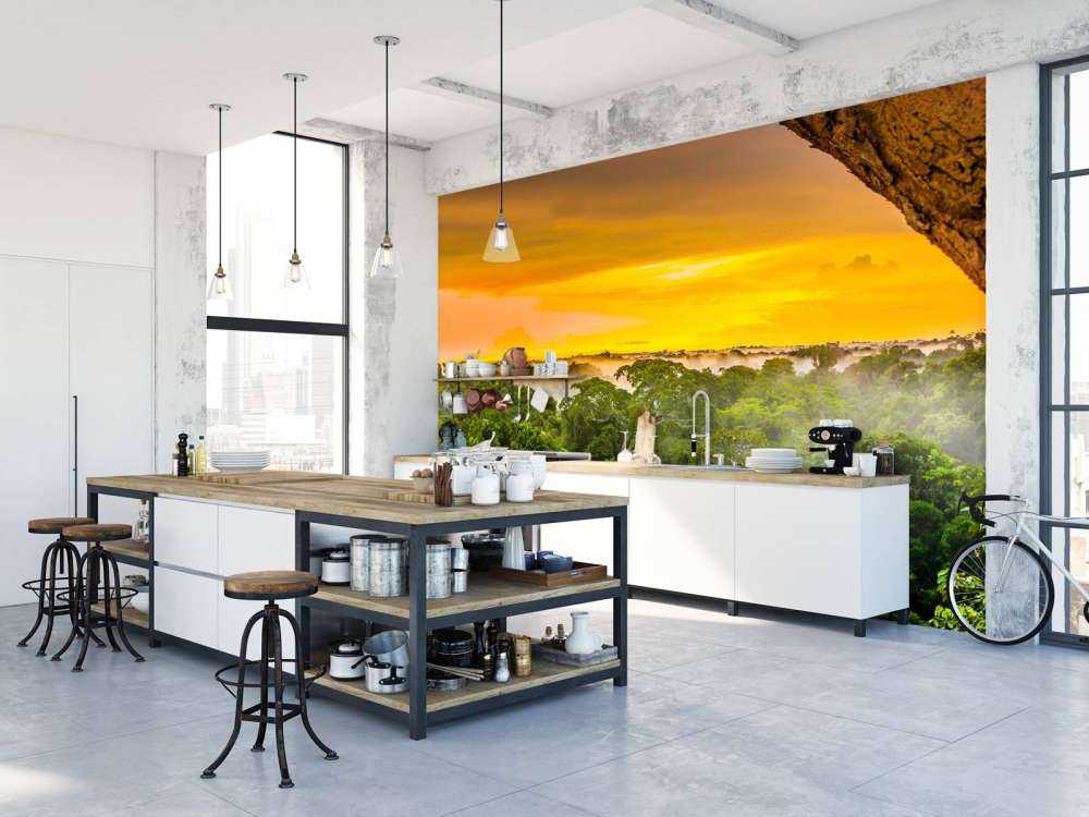 Regnskov i Brasilien