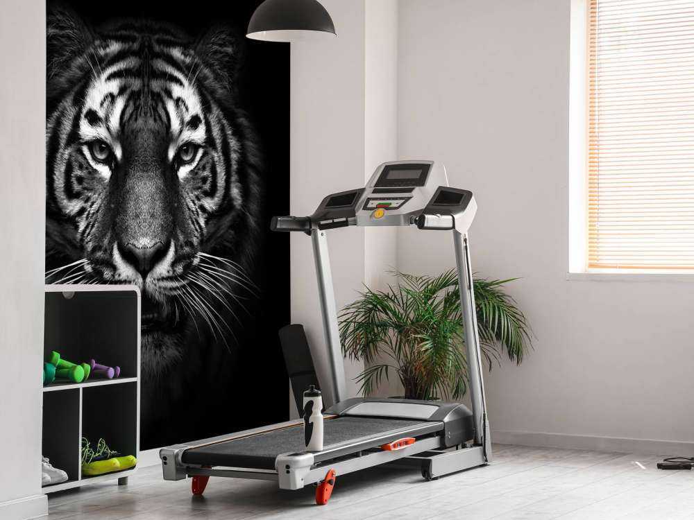 Dark Tiger