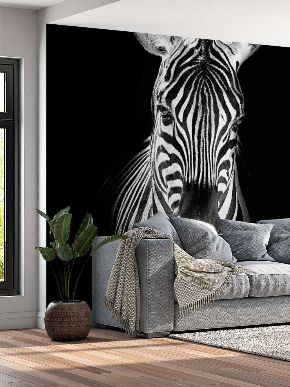 Nærbillede af zebra sort og hvid