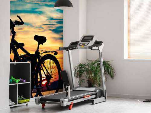 Cykling ved solnedgang