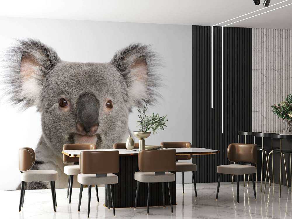 Foto af en koala
