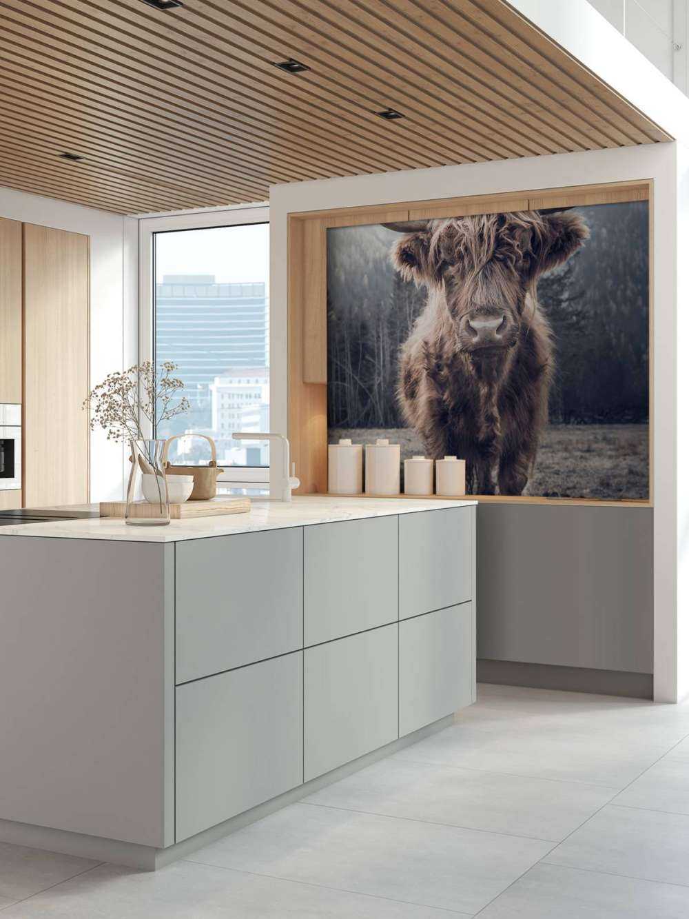 Scottish højlander ved skoven