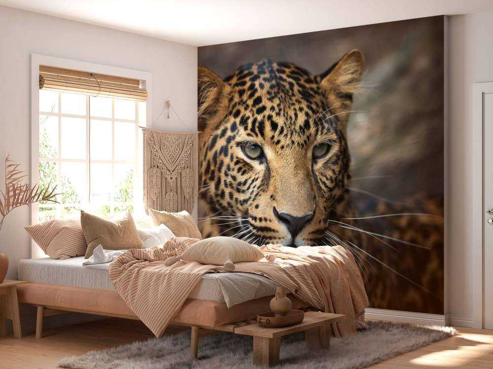 Luk op af en leopard