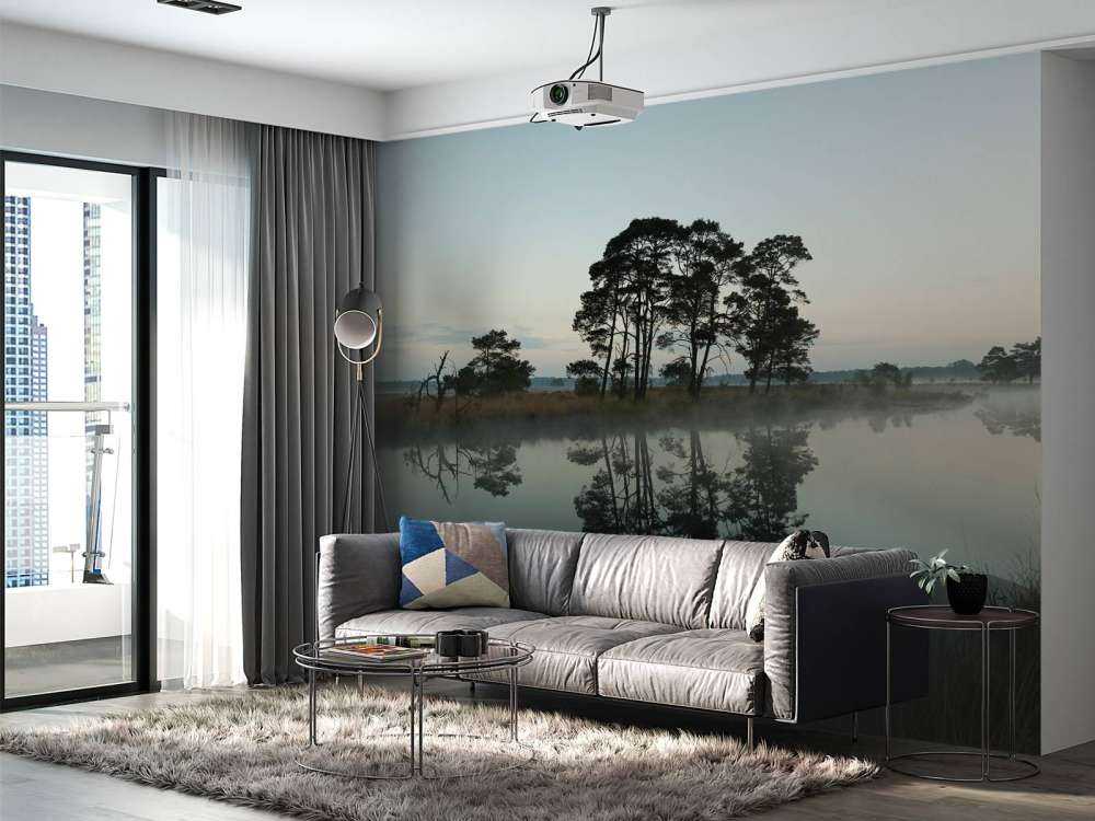 Træer langs skovområder