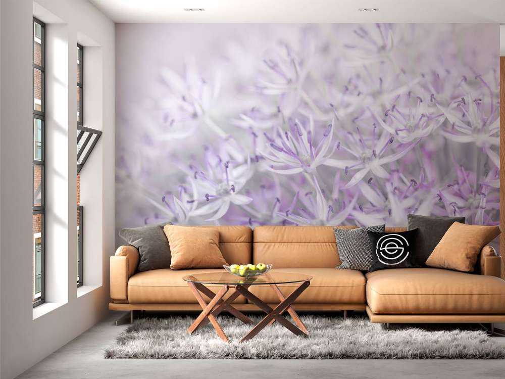 Allium-blomster tæt på