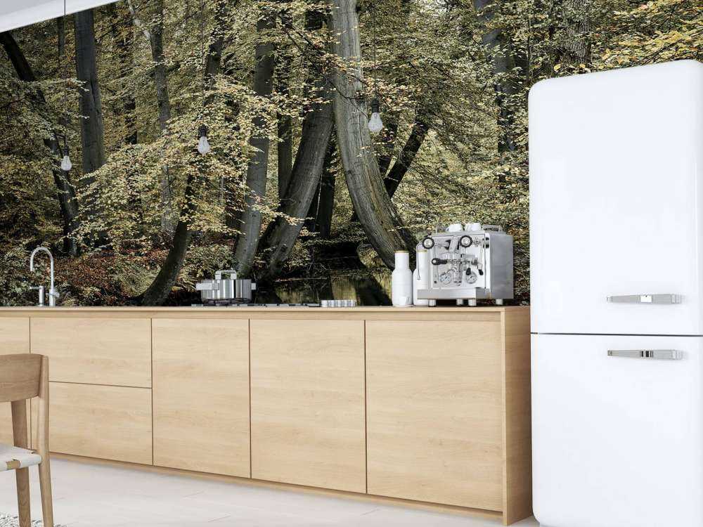 Vandløb med hængende træer