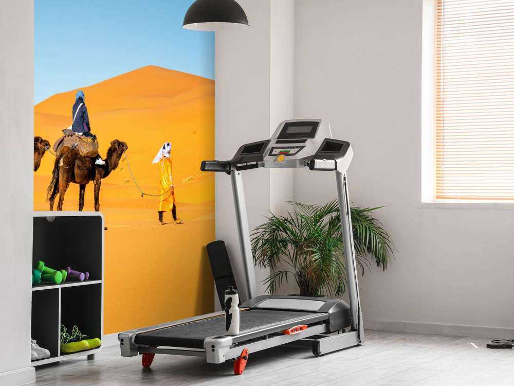 Kameltur gennem ørkenen