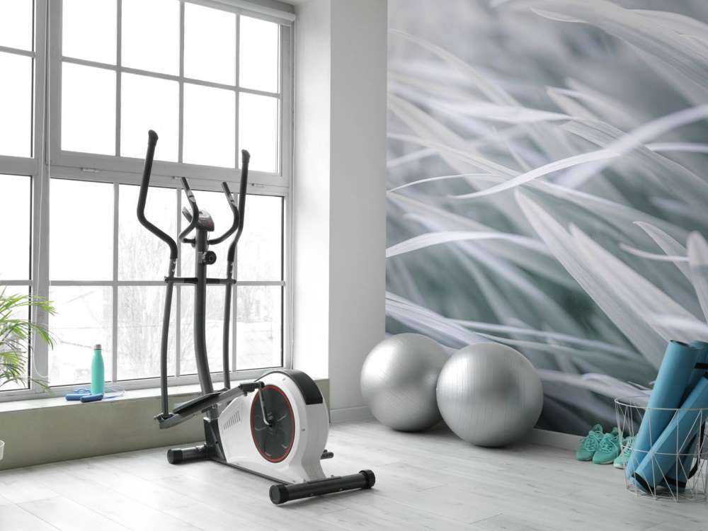 Græsblade nærbillede