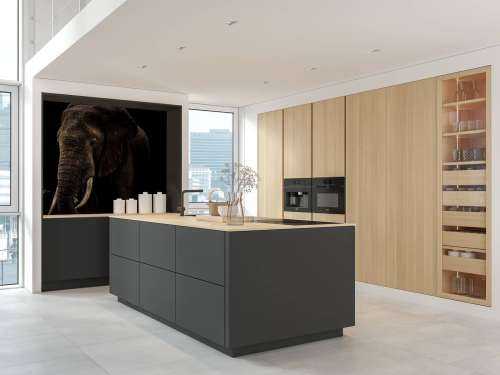 Elephant With Hummingbirds
