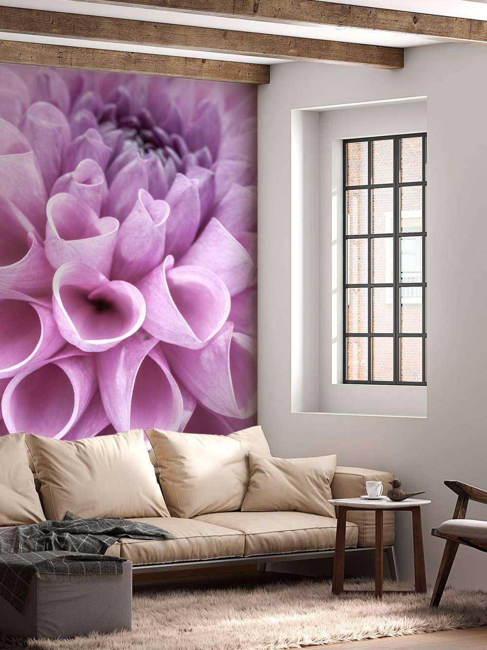 Lilla dahlia