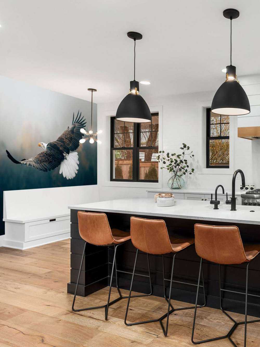 Bald eagle over skoven